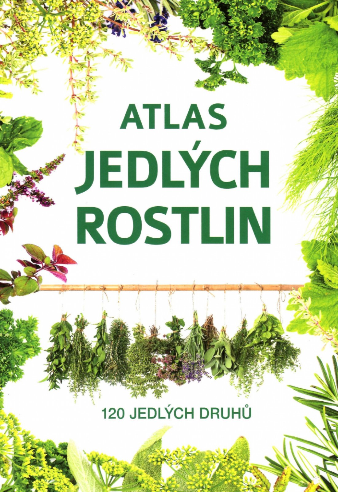 Atlas jedlých rostlin