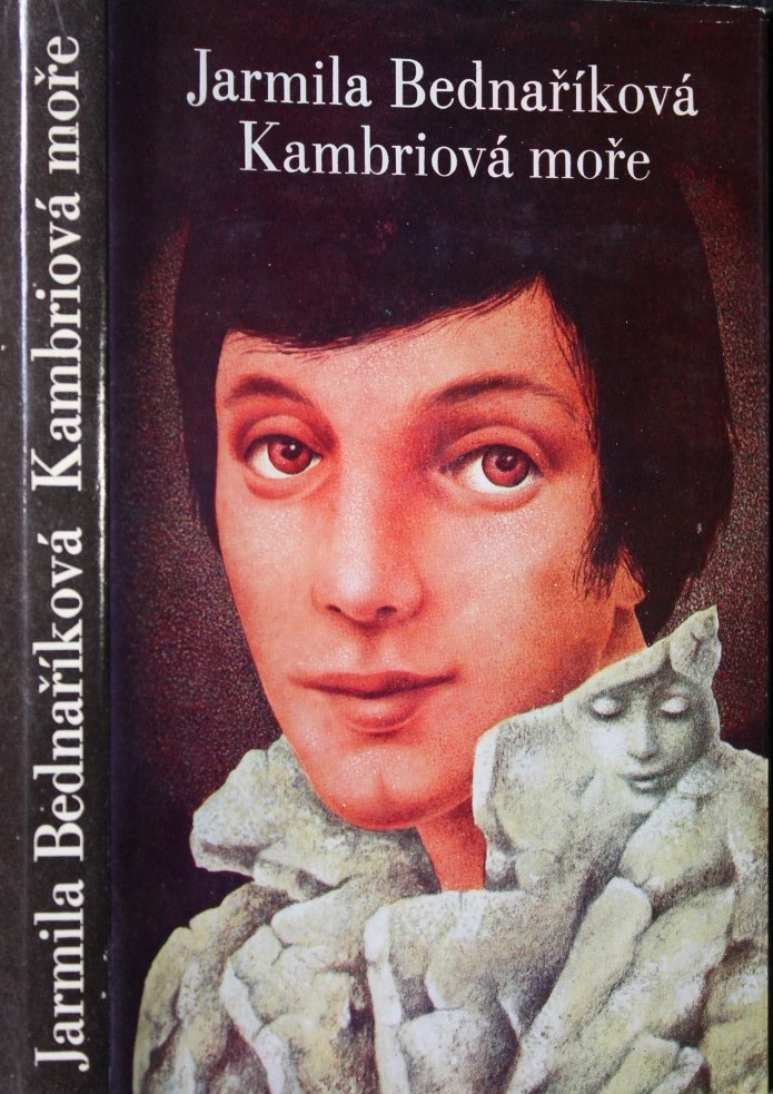 Kambriová moře