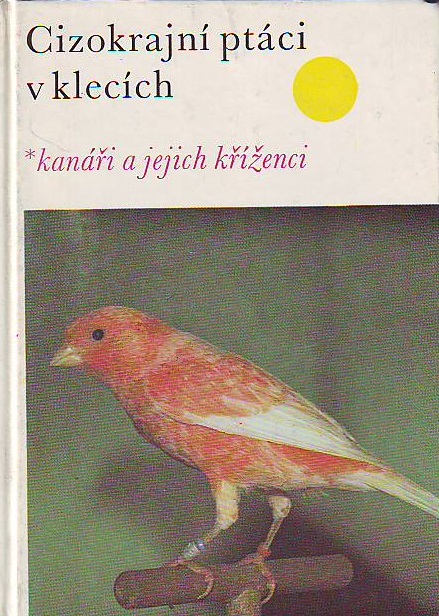 Cizokrajní ptáci v klecích-Kanáři a jejich kříženci