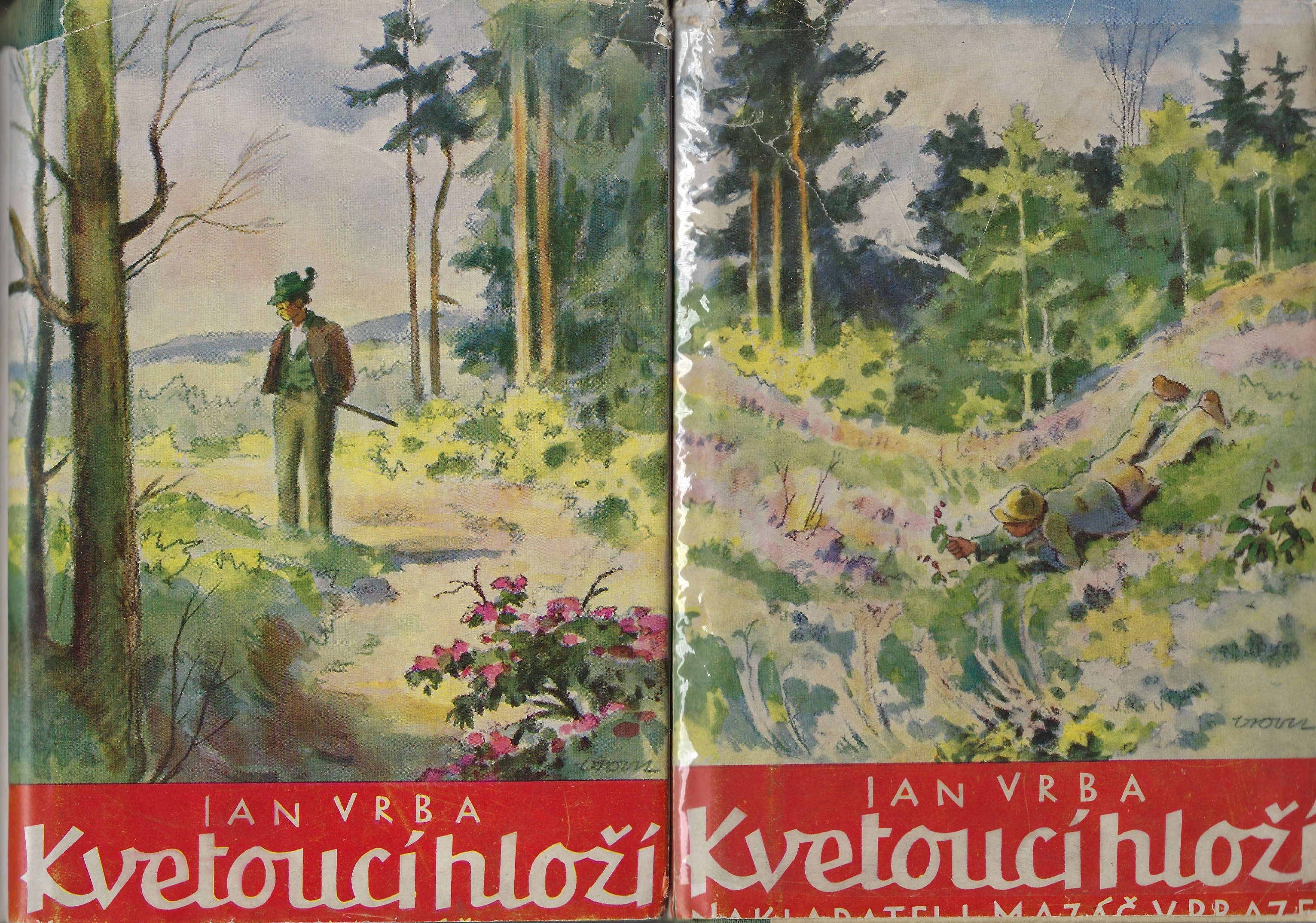 Kvetoucí hloží I. - II.