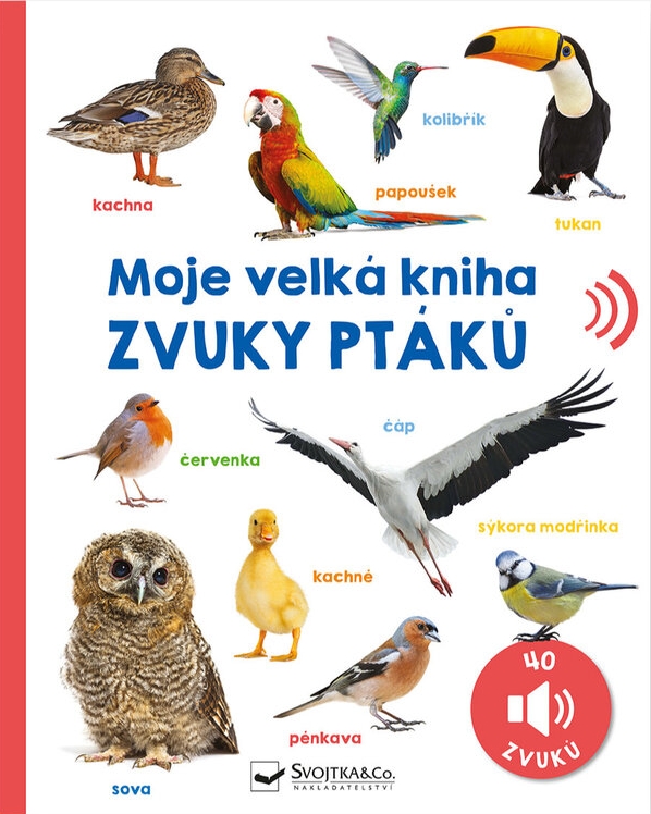 Moje velká kniha-Zvuky ptáků