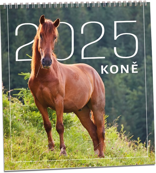 Kalendář 2025-Koně - nástěnný měsíční