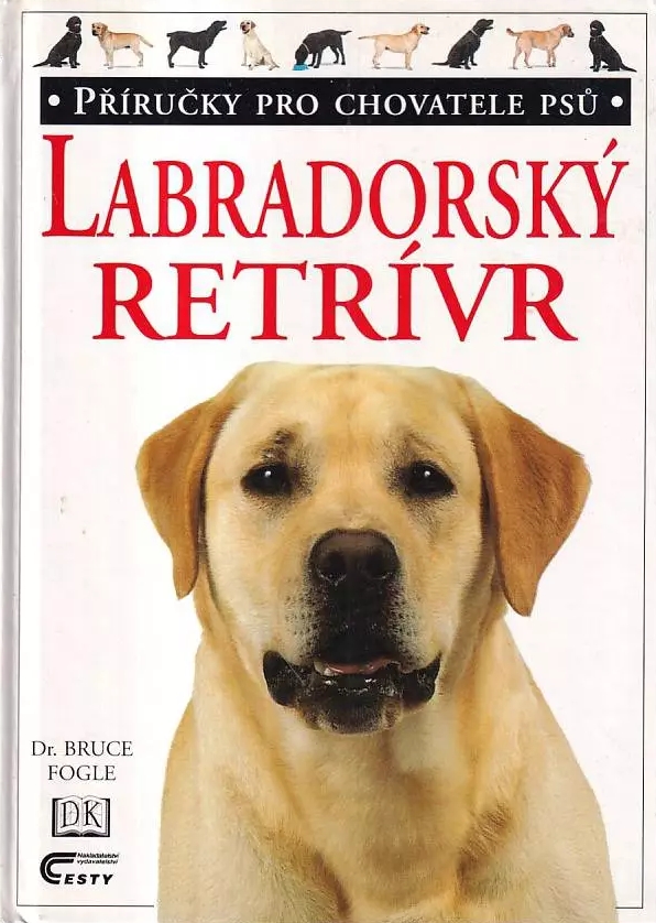 Labradorský retrívr