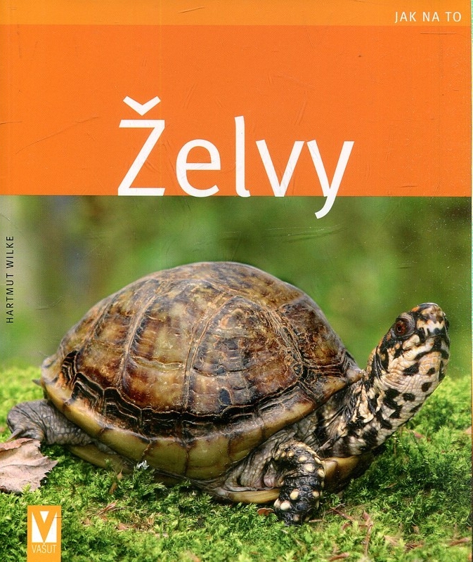 Jak na to-Želvy